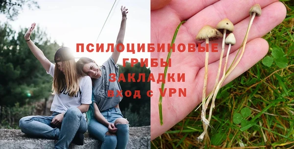 спайс Белокуриха