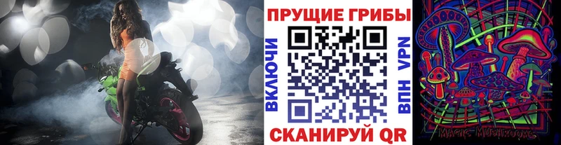 Галлюциногенные грибы Psilocybe  дарнет шоп  Пыть-Ях 