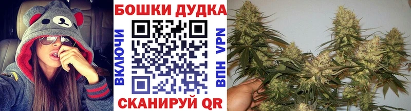 где можно купить Пыть-Ях Шишки марихуана планчик